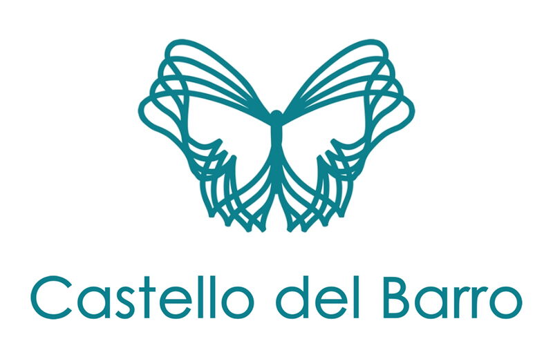 Logo CastelloDelBarro